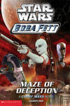 Book cover for Maze of Deception