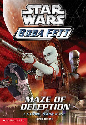Cover of Maze of Deception