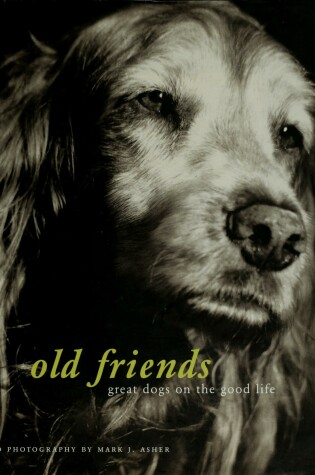 Cover of Old Friends