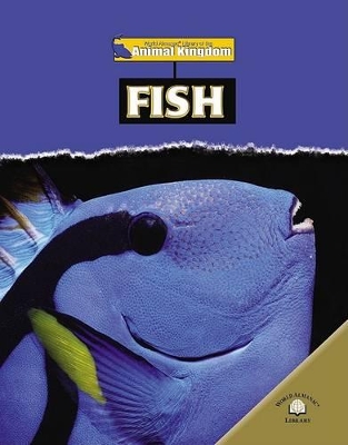 Book cover for Fish