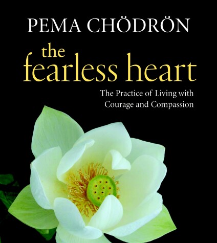 Book cover for The Fearless Heart