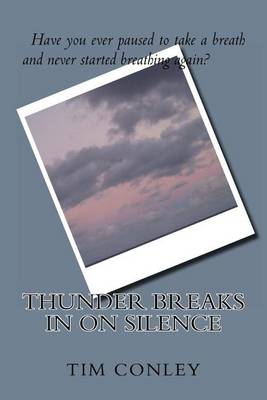 Book cover for Thunder Breaks in on Silence