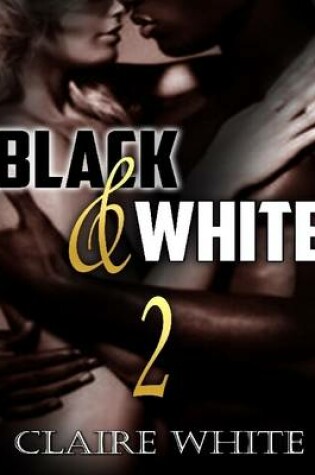 Cover of Black and White 2: Interracial Erotica Compilation