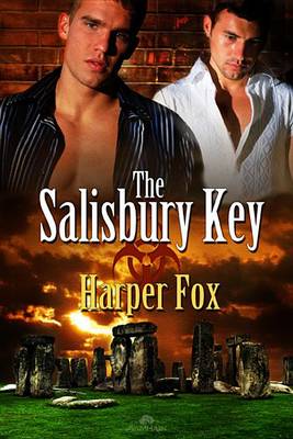 Book cover for The Salisbury Key