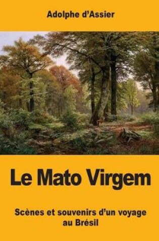 Cover of Le Mato Virgem