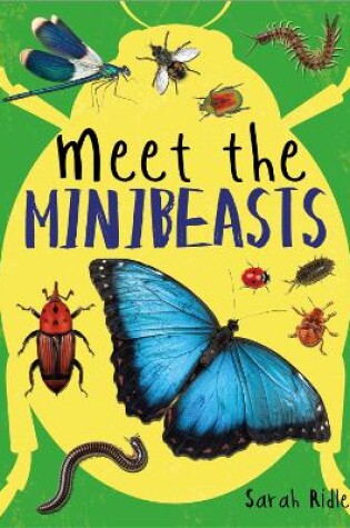 Cover of Meet the Minibeasts