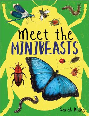 Book cover for Meet the Minibeasts