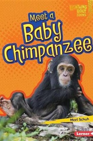 Cover of Meet a Baby Chimpanzee