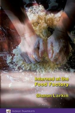 Cover of Interned at the Food Factory