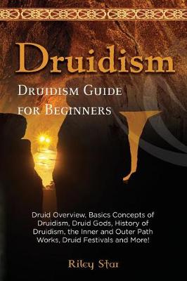 Book cover for Druidism