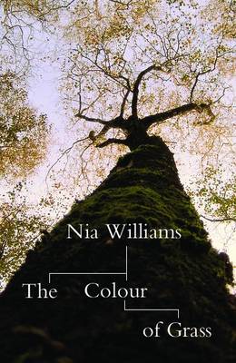 Book cover for The Colour of Grass