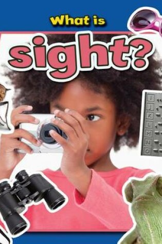 Cover of What Is Sight?