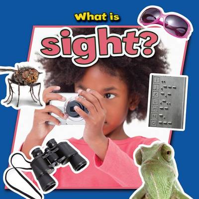 Book cover for What Is Sight?