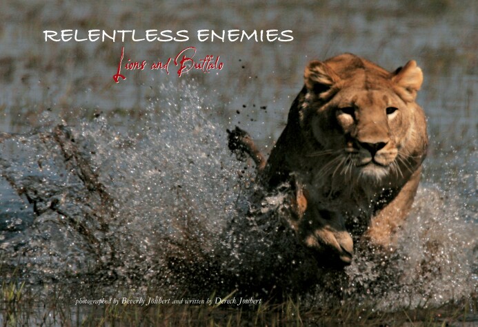 Book cover for Relentless Enemies