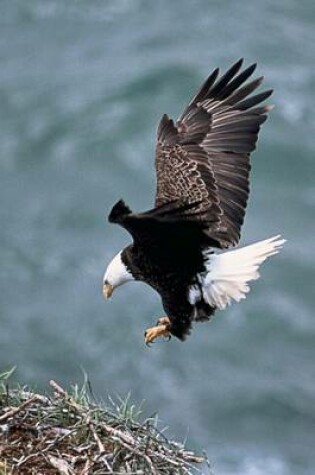 Cover of A Bald Eagle Flying Over Water to It's Nest