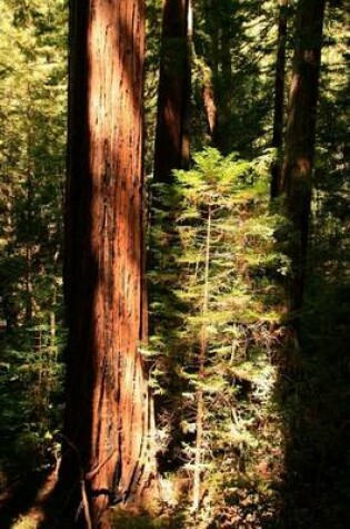 Cover of Giant Redwood Forest (for the Love of Nature)