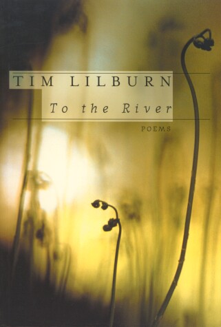 Book cover for To the River