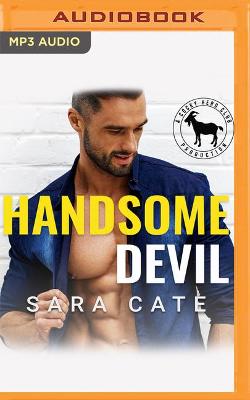 Book cover for Handsome Devil