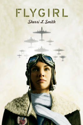 Book cover for Flygirl