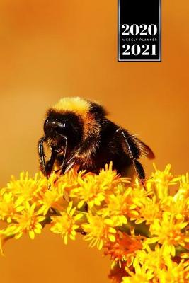 Book cover for Bee Insects Beekeeping Beekeeper Week Planner Weekly Organizer Calendar 2020 / 2021 - Encrusted Flower