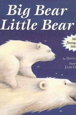 Cover of Big Bear Little Bear