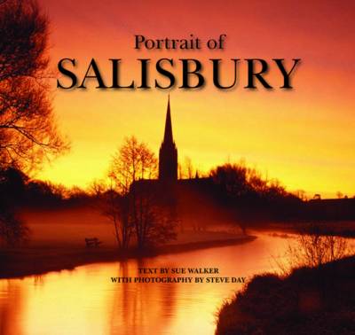 Book cover for Portrait of Salisbury