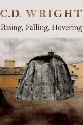 Cover of Rising, Falling, Hovering