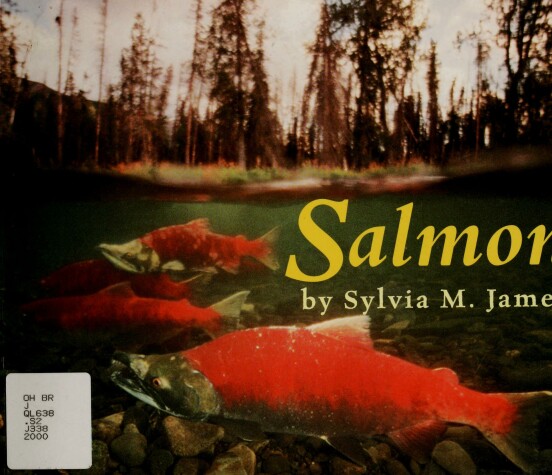 Book cover for Salmon