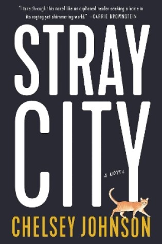Cover of Stray City