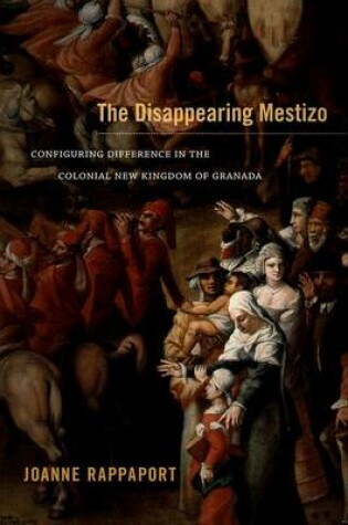 Cover of Disappearing Mestizo