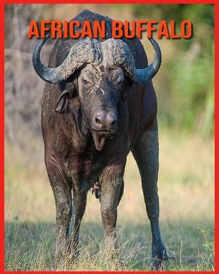 Book cover for African Buffalo