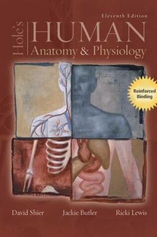 Cover of Hole's Human Anatomy & Physiology and Lab Manual Pkg