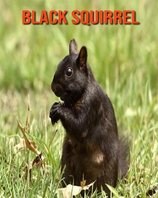 Book cover for Black Squirrel