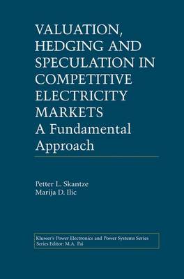 Book cover for Valuation, Hedging and Speculation in Competitive Electricity Markets