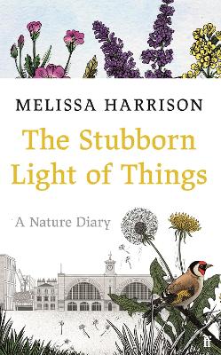 Book cover for The Stubborn Light of Things