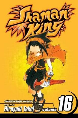 Cover of Shaman King, Vol. 16