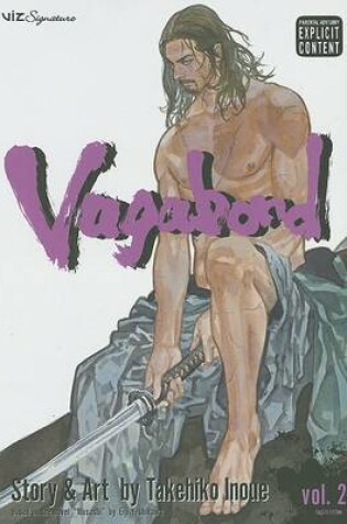 Cover of Vagabond, Vol. 29