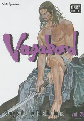 Book cover for Vagabond, Vol. 29