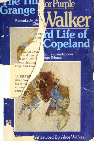 Cover of 3rd Life G Copelnd