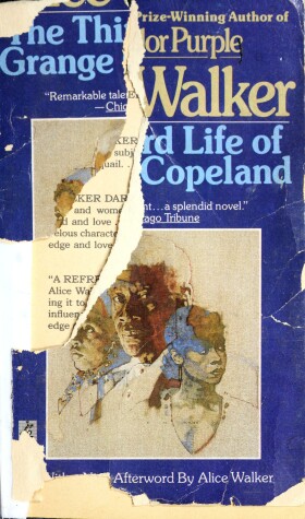 Book cover for 3rd Life G Copelnd