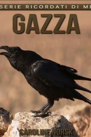 Cover of Gazza