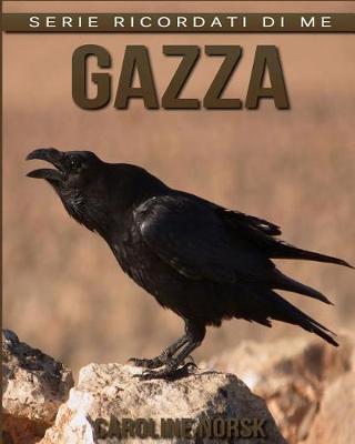 Book cover for Gazza