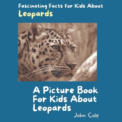 Book cover for A Picture Book for Kids About Leopards
