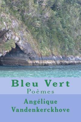 Book cover for Bleu Vert