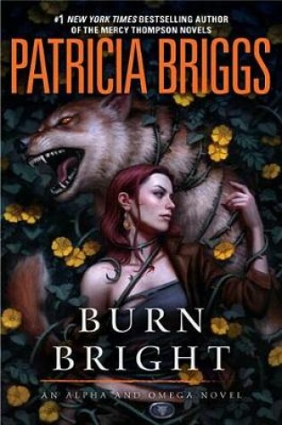 Cover of Burn Bright