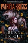 Book cover for Burn Bright