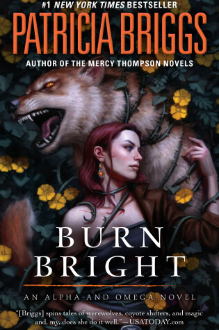 Cover of Burn Bright