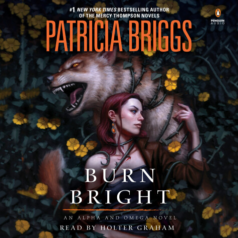 Book cover for Burn Bright
