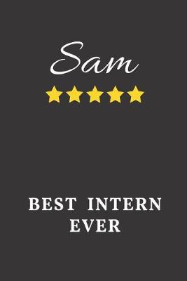 Book cover for Sam Best Intern Ever