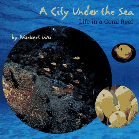 Book cover for City Under the Sea